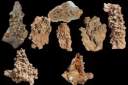 stalactites & stalagmites0001.jpg